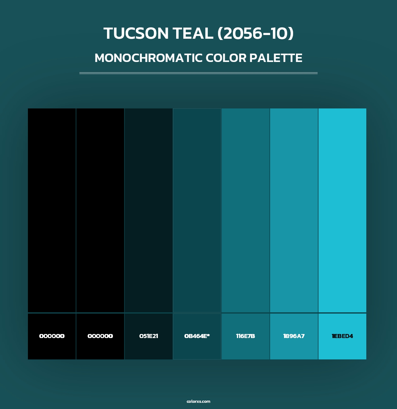 Tucson Teal (2056-10) - Monochromatic Color Palette
