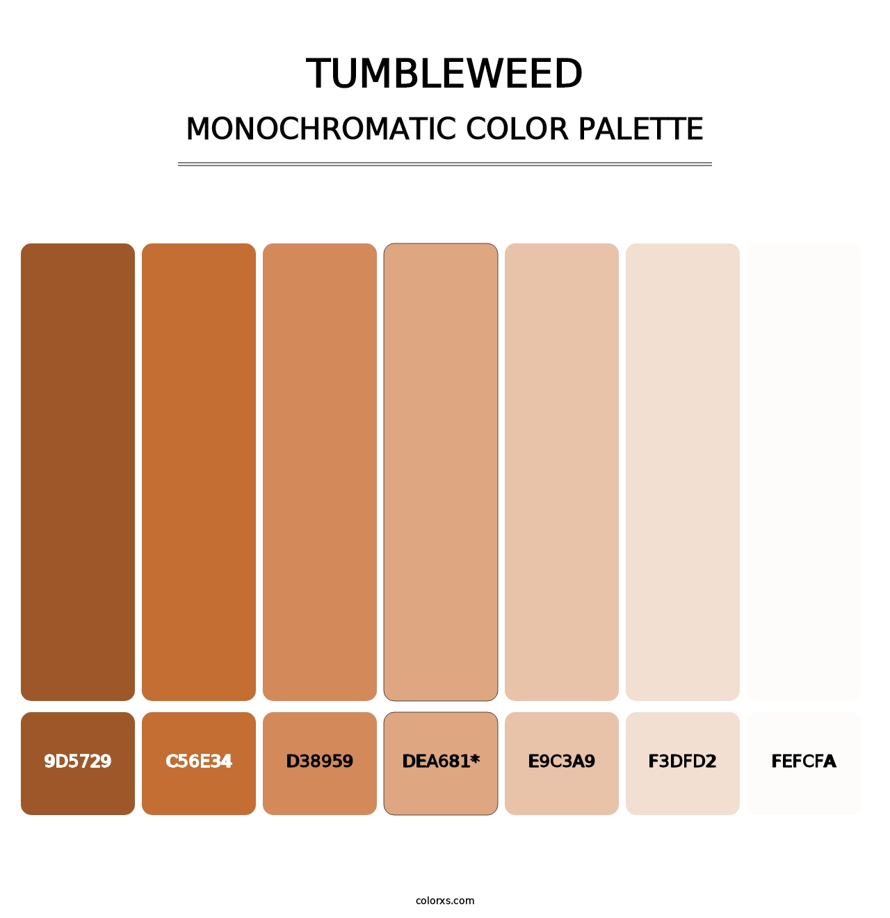 Tumbleweed - Monochromatic Color Palette