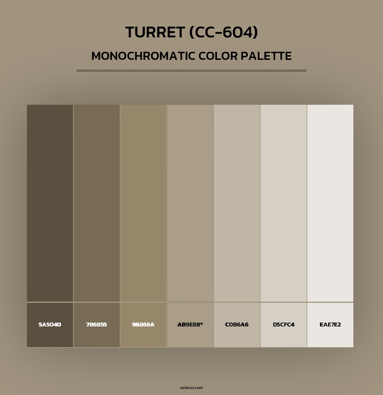 Turret (CC-604) - Monochromatic Color Palette