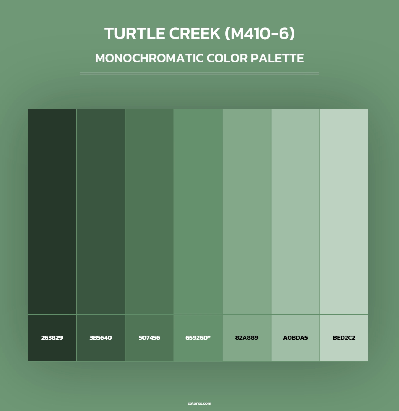 Turtle Creek (M410-6) - Monochromatic Color Palette
