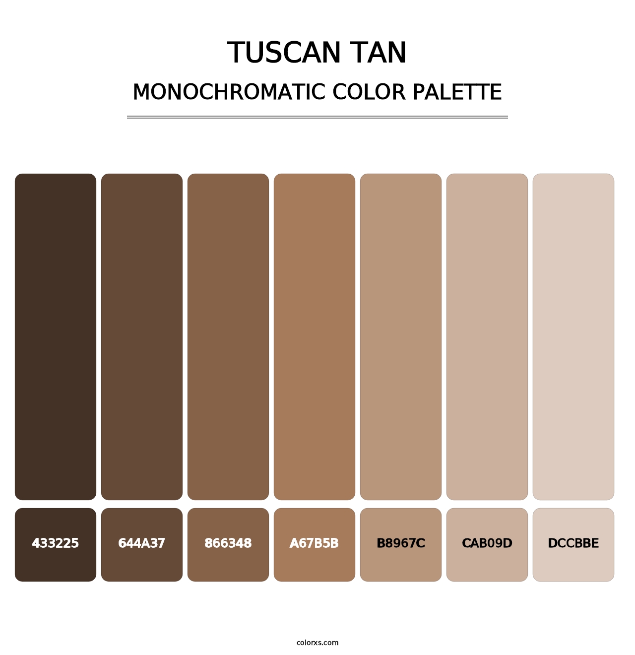 Tuscan Tan - Monochromatic Color Palette