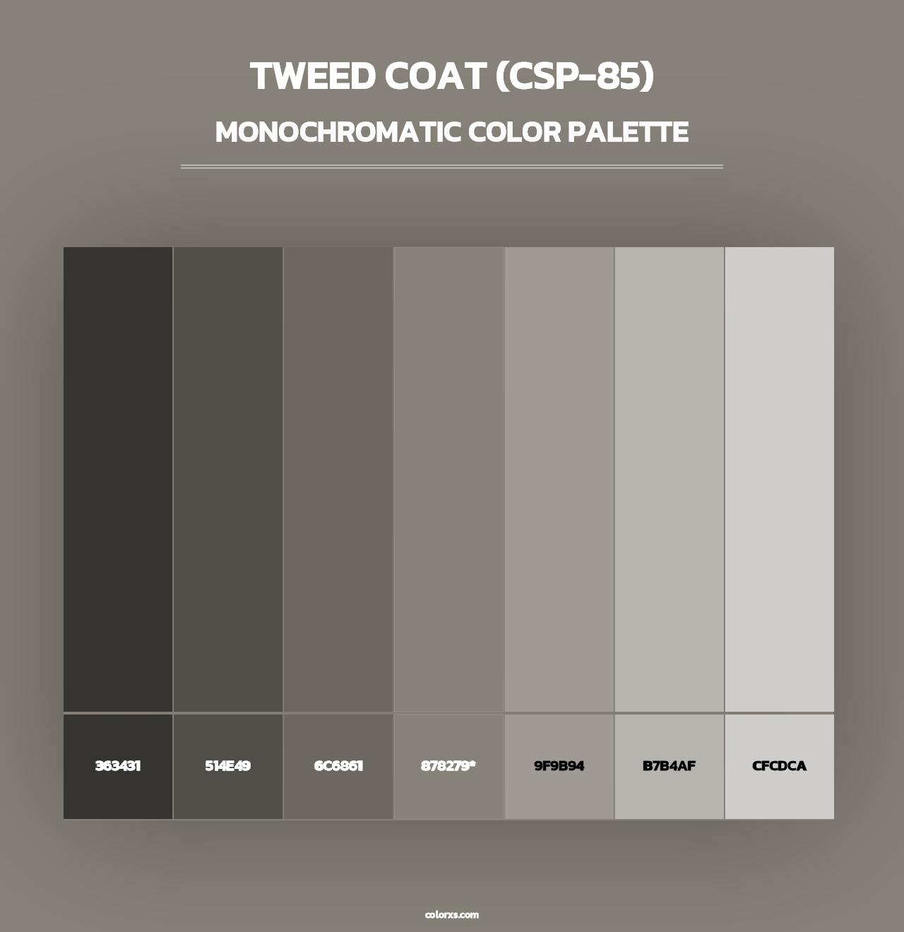 Tweed Coat (CSP-85) - Monochromatic Color Palette