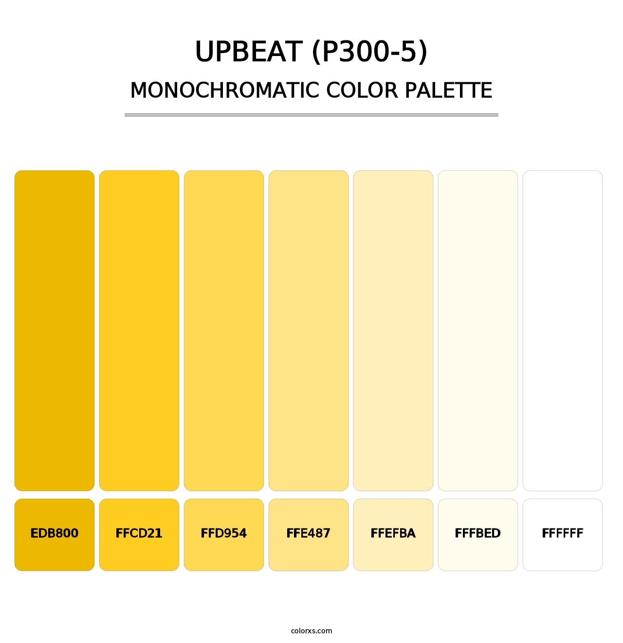 Upbeat (P300-5) - Monochromatic Color Palette