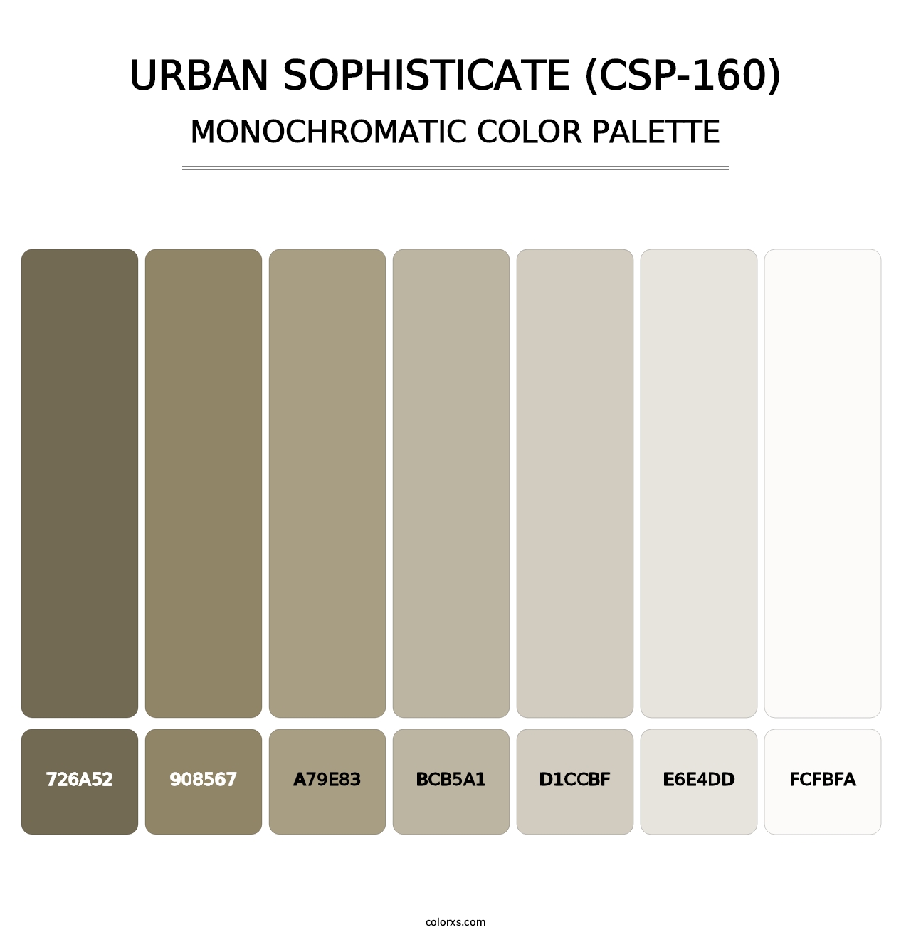 Urban Sophisticate (CSP-160) - Monochromatic Color Palette