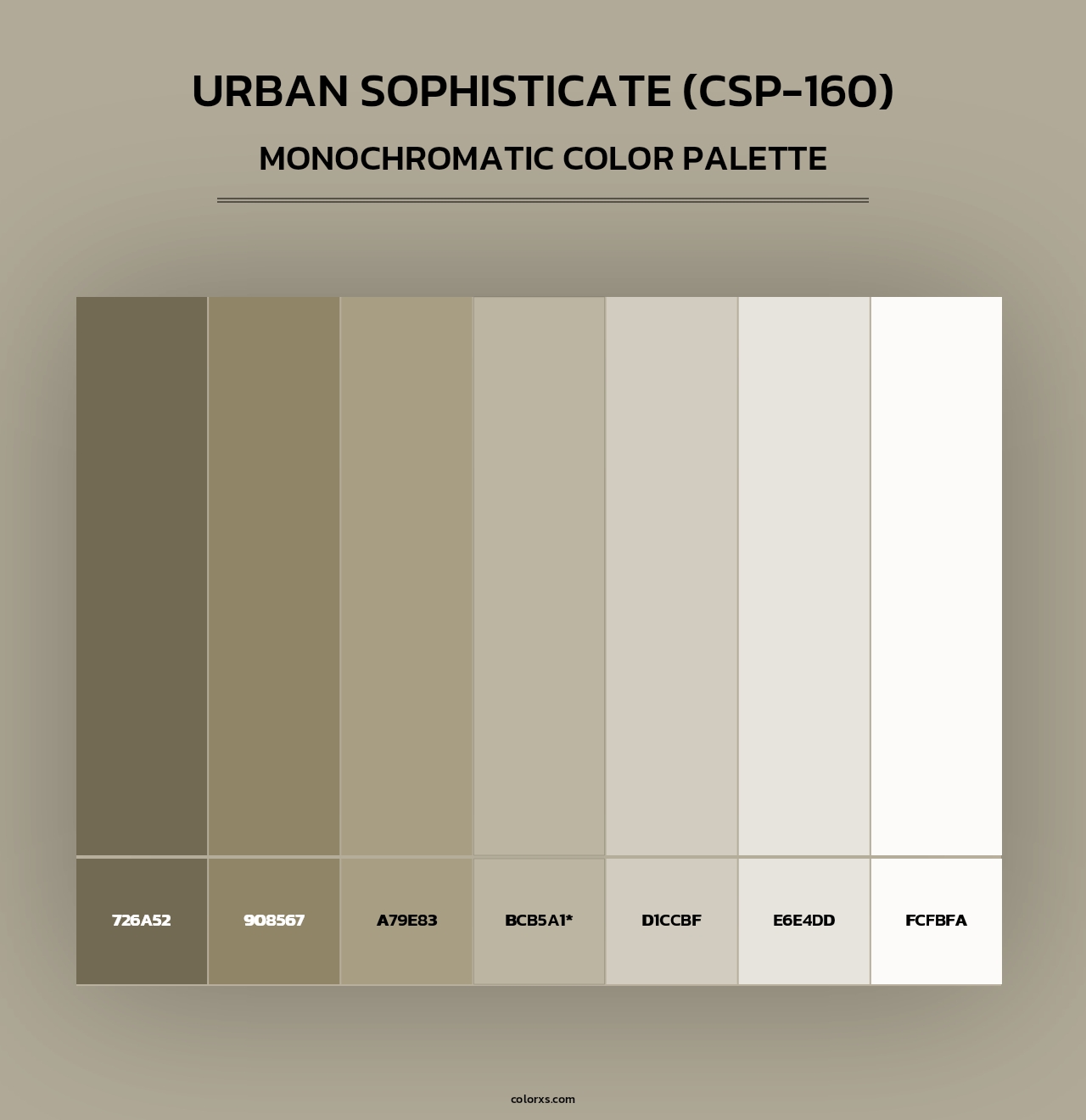 Urban Sophisticate (CSP-160) - Monochromatic Color Palette