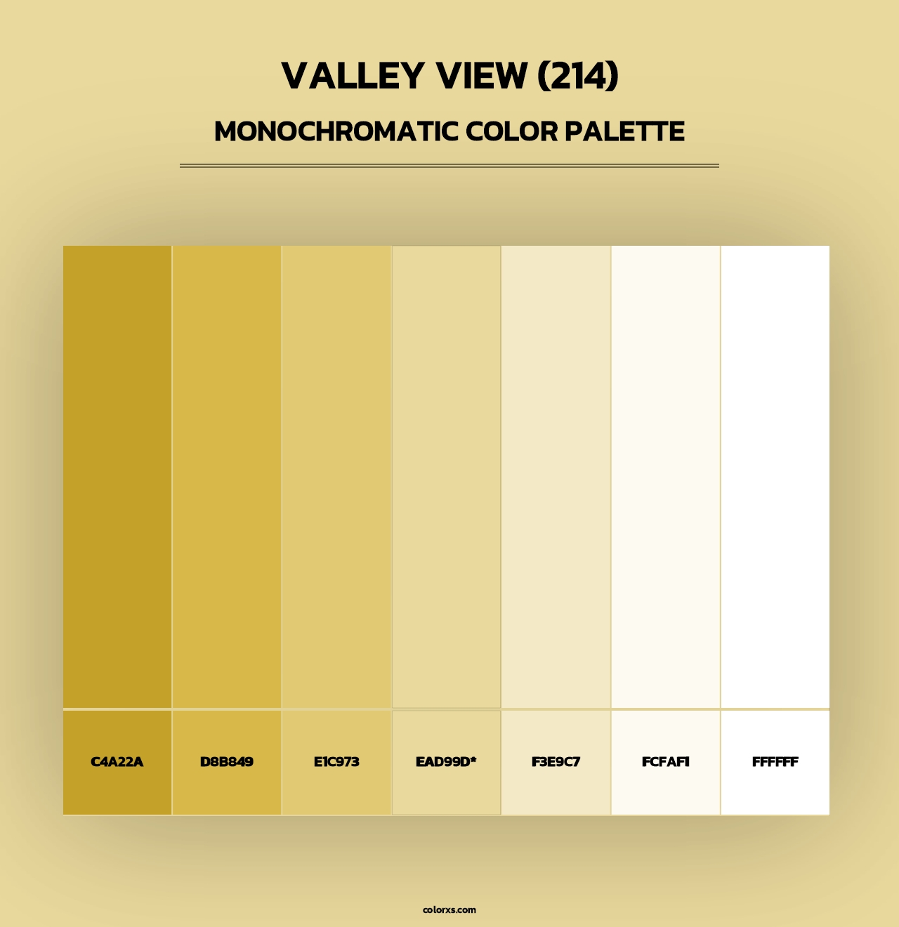 Valley View (214) - Monochromatic Color Palette