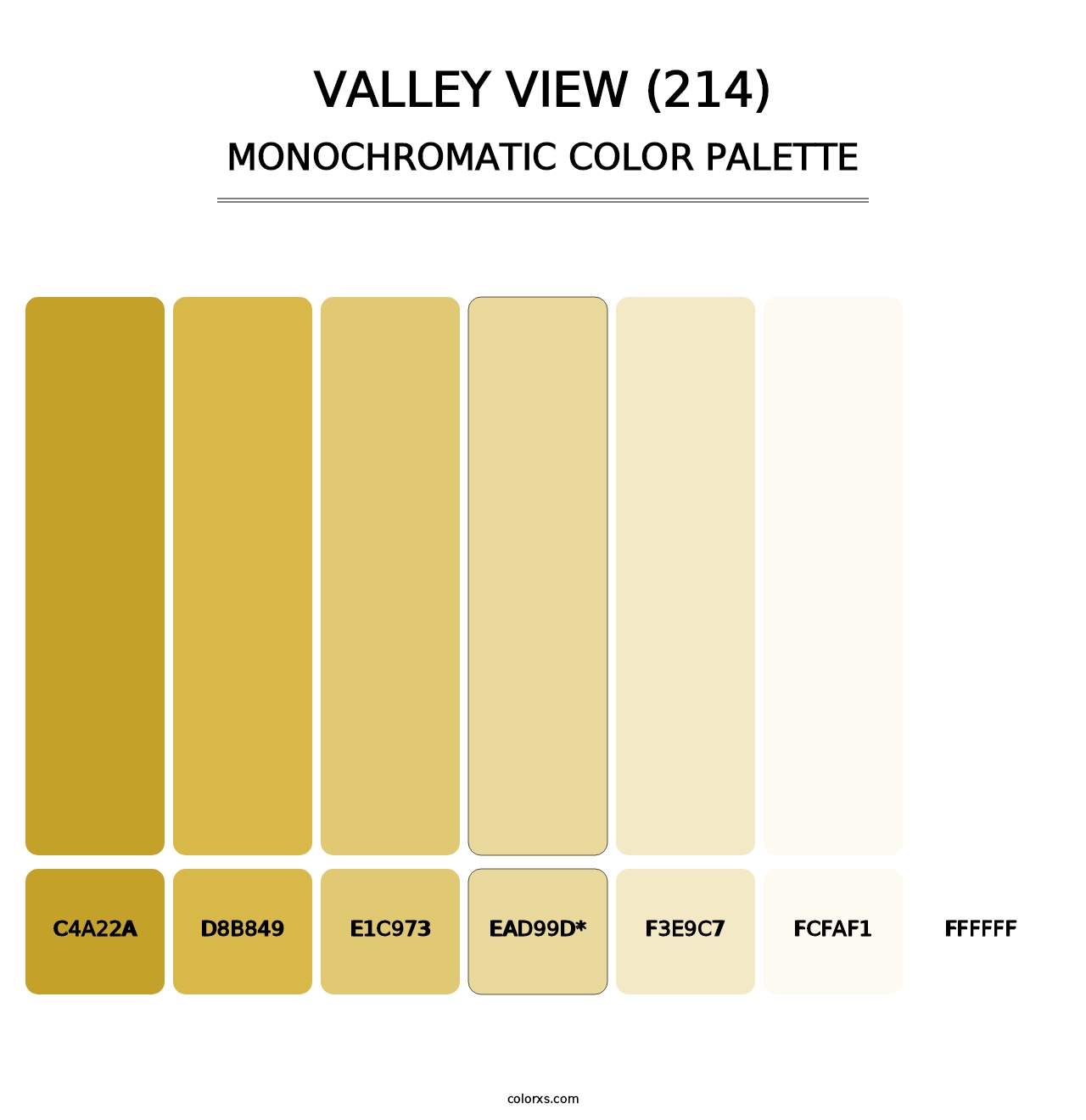 Valley View (214) - Monochromatic Color Palette