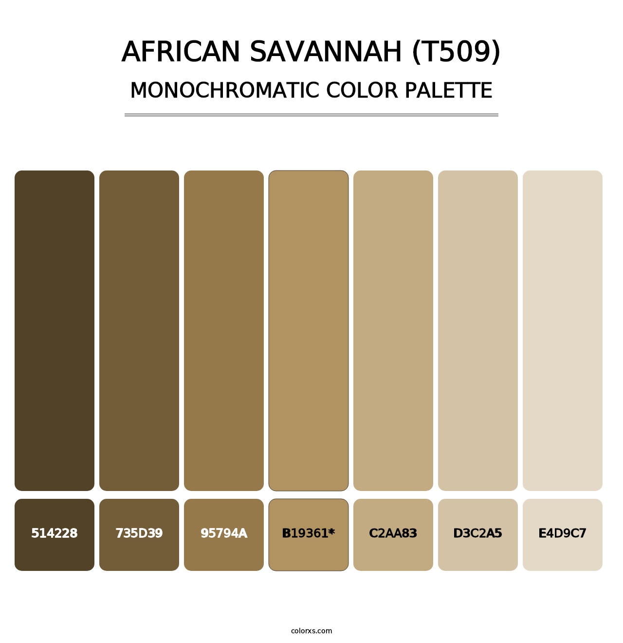 African Savannah (T509) - Monochromatic Color Palette