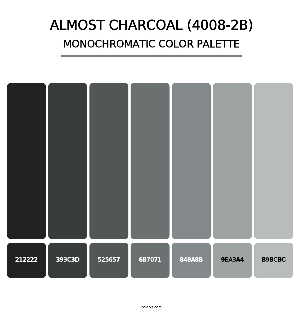 Almost Charcoal (4008-2B) - Monochromatic Color Palette