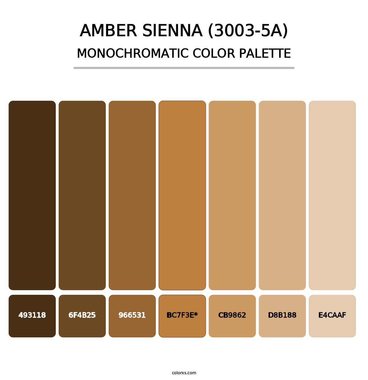 Amber Sienna (3003-5A) - Monochromatic Color Palette