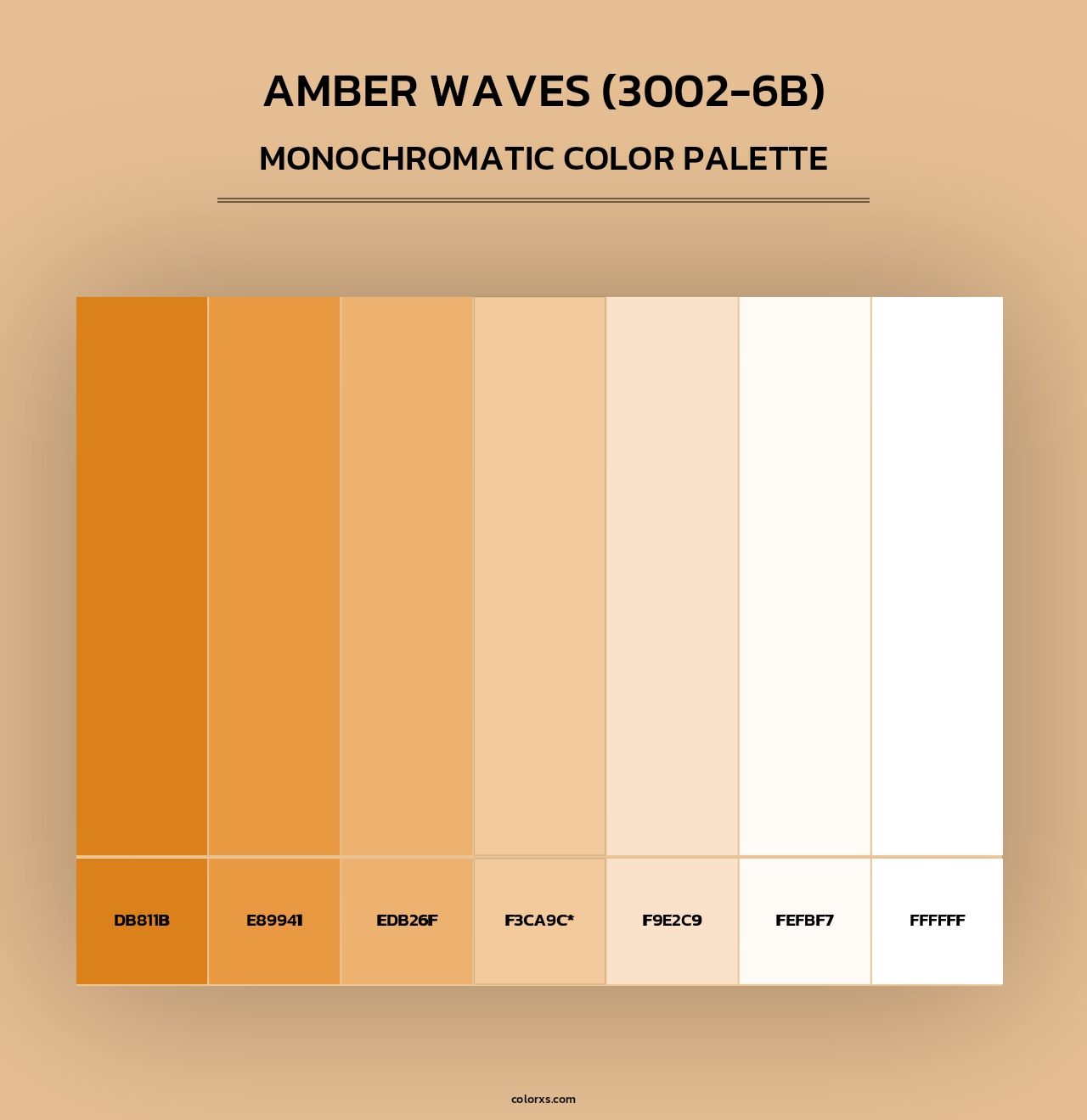 Amber Waves (3002-6B) - Monochromatic Color Palette