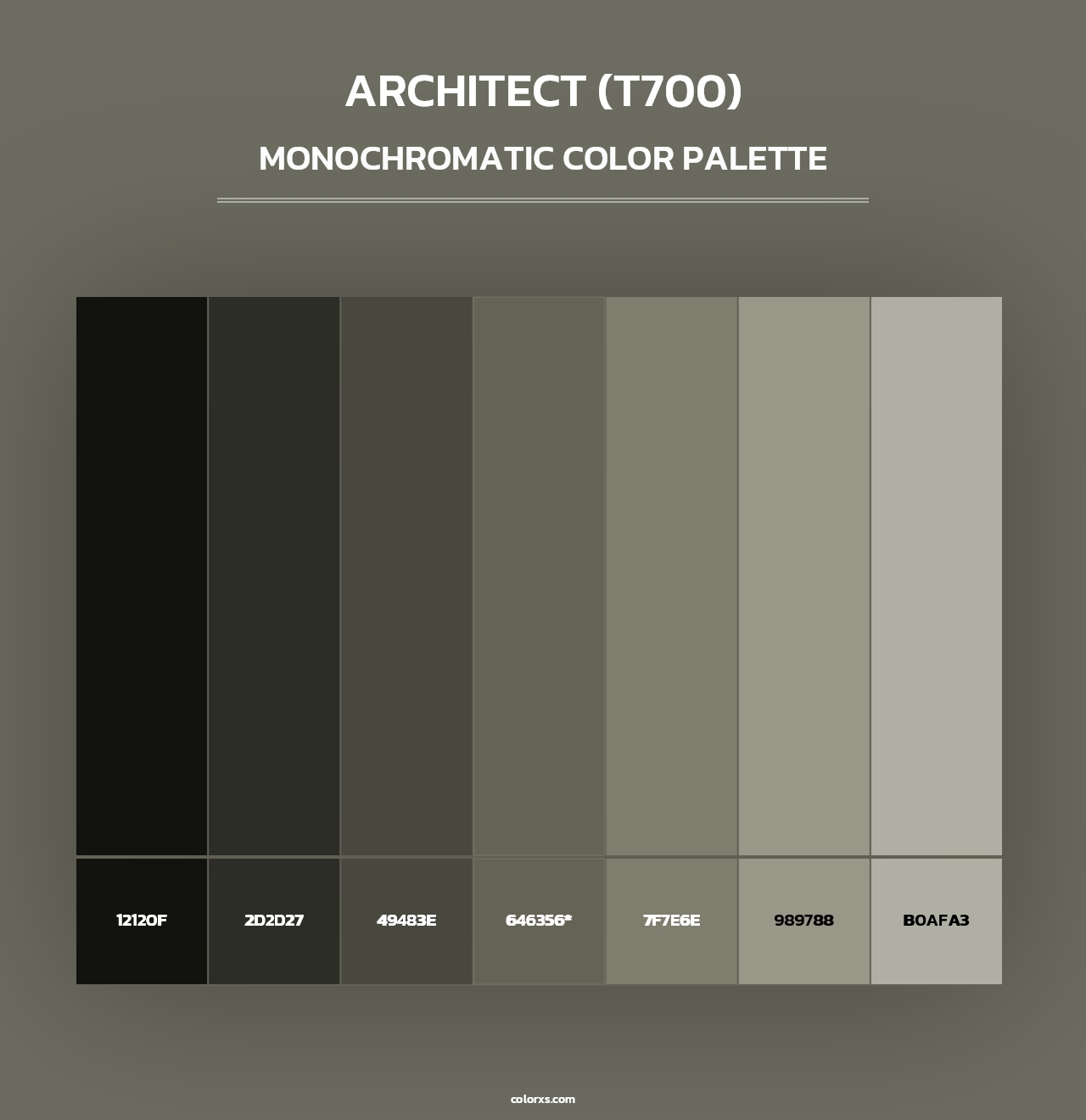 Architect (T700) - Monochromatic Color Palette