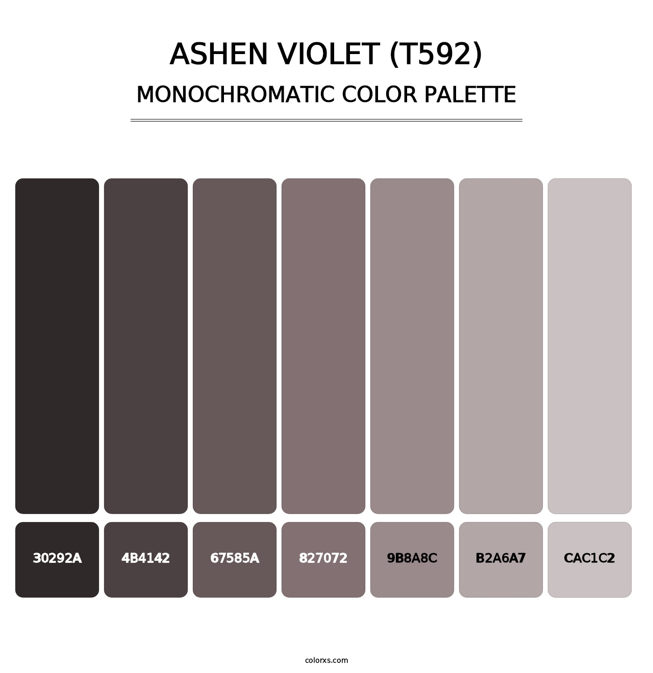 Ashen Violet (T592) - Monochromatic Color Palette