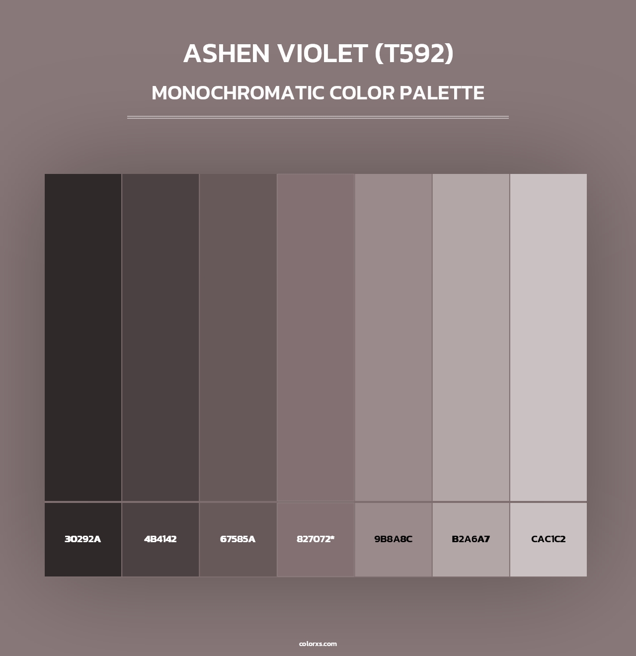 Ashen Violet (T592) - Monochromatic Color Palette