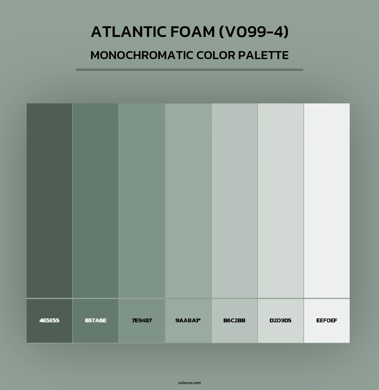 Atlantic Foam (V099-4) - Monochromatic Color Palette