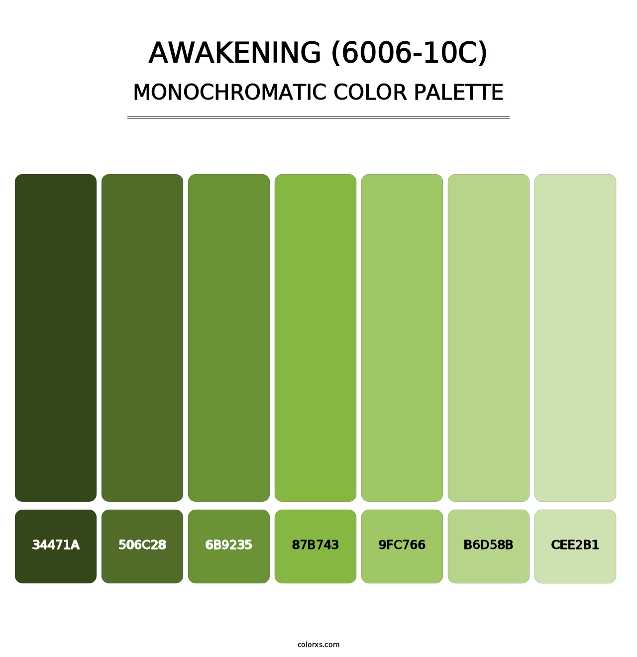 Awakening (6006-10C) - Monochromatic Color Palette