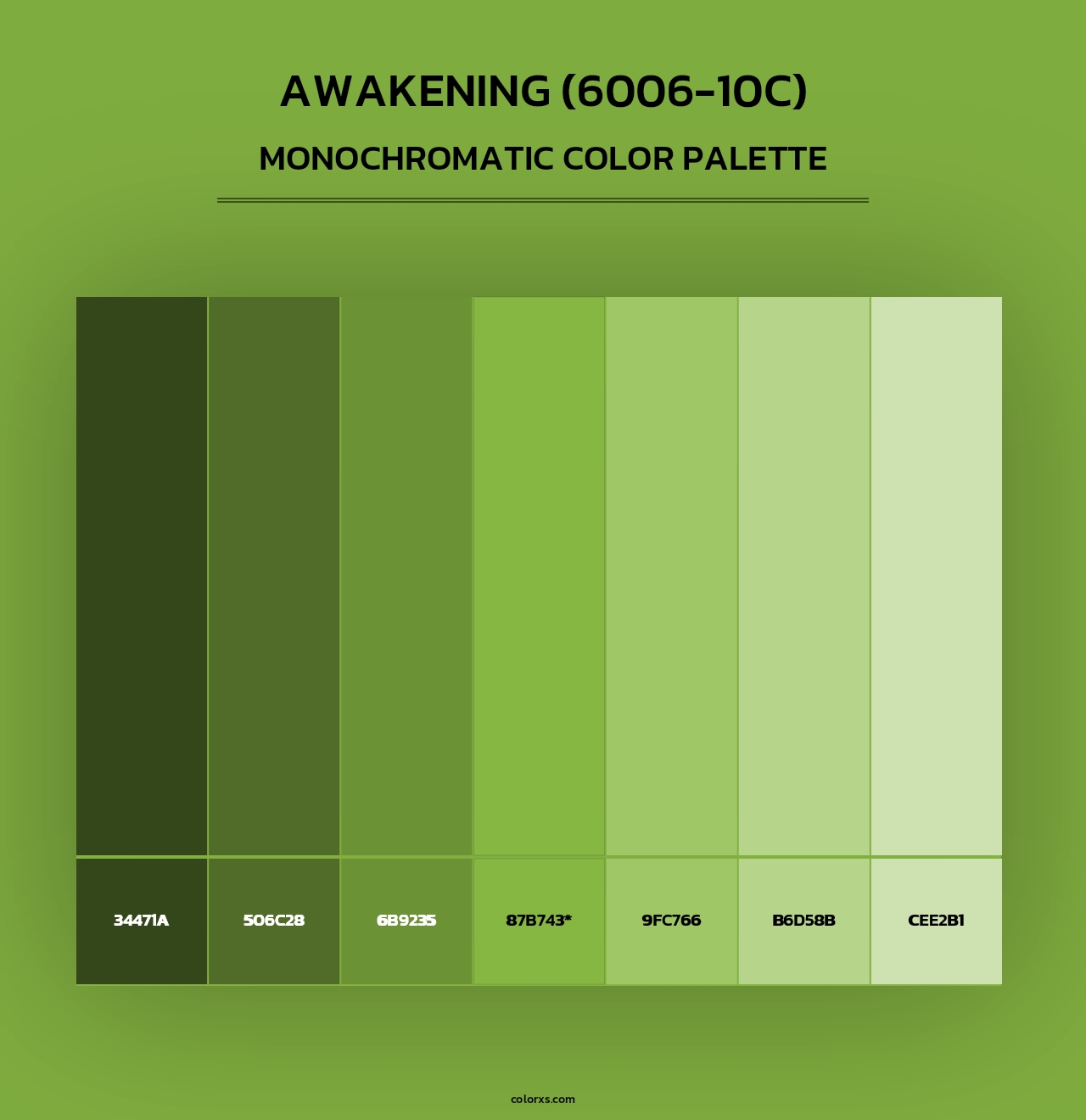 Awakening (6006-10C) - Monochromatic Color Palette