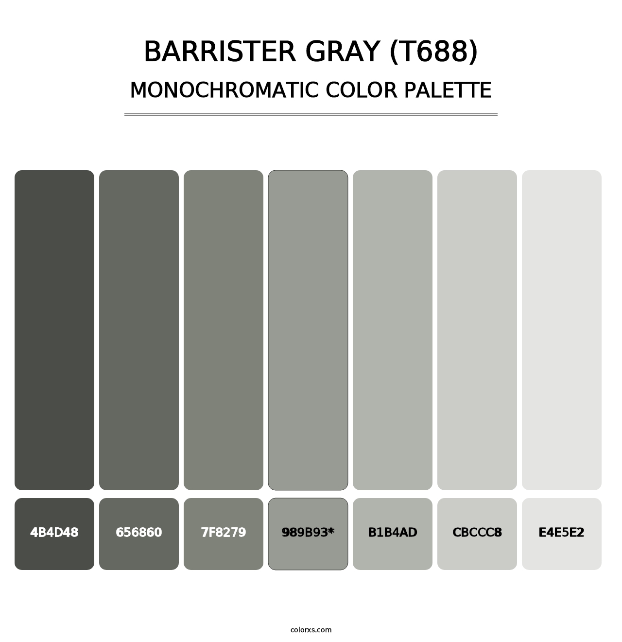 Barrister Gray (T688) - Monochromatic Color Palette