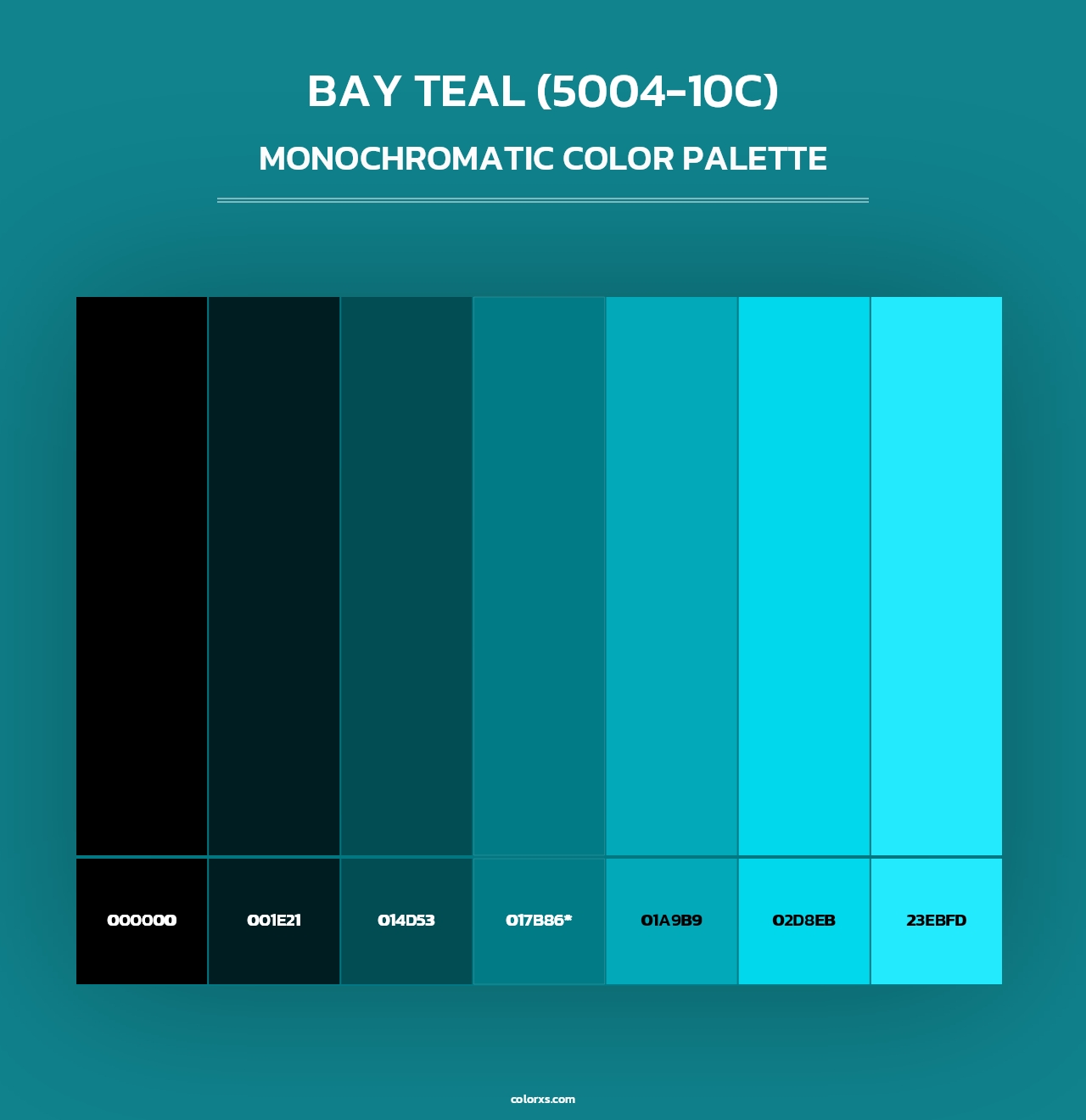Bay Teal (5004-10C) - Monochromatic Color Palette