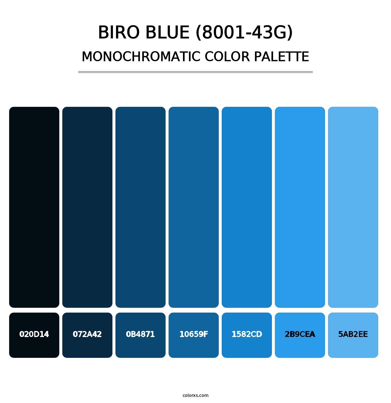Biro Blue (8001-43G) - Monochromatic Color Palette