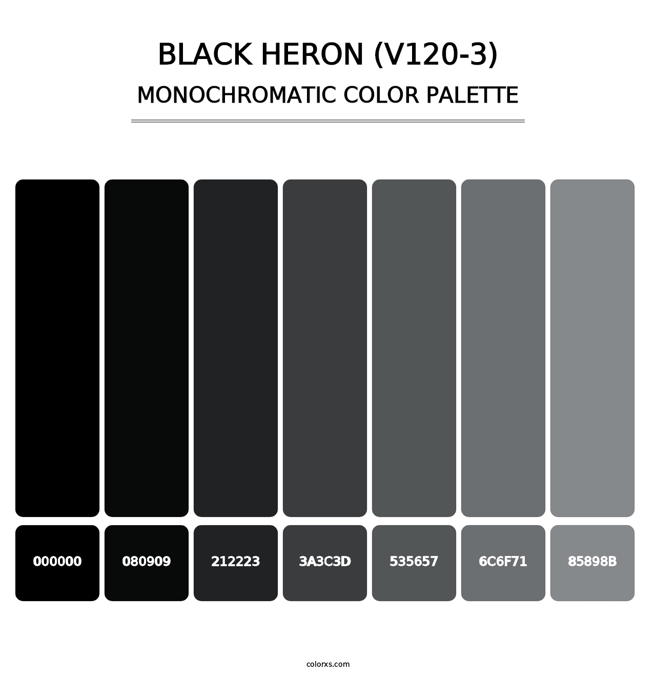 Black Heron (V120-3) - Monochromatic Color Palette