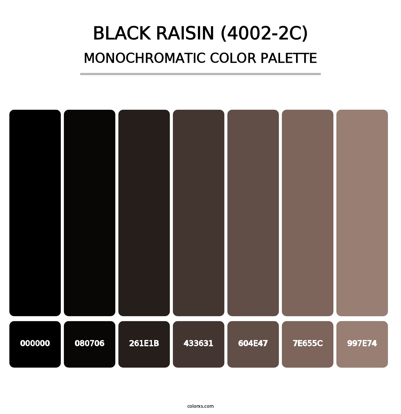Black Raisin (4002-2C) - Monochromatic Color Palette