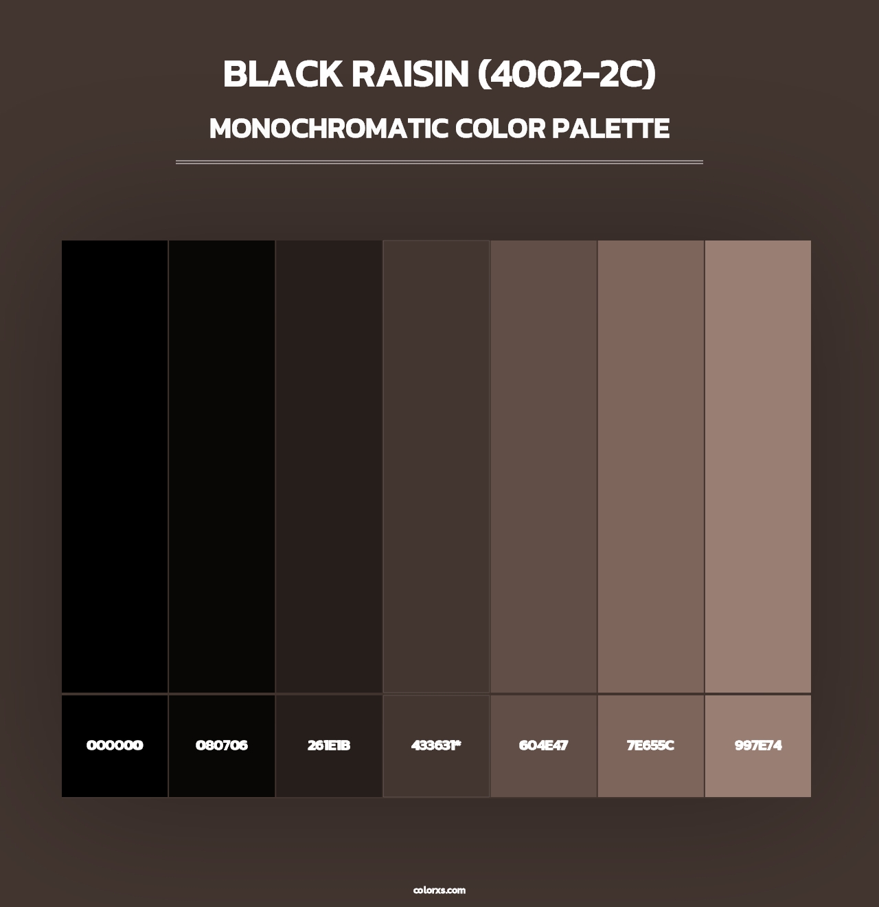 Black Raisin (4002-2C) - Monochromatic Color Palette