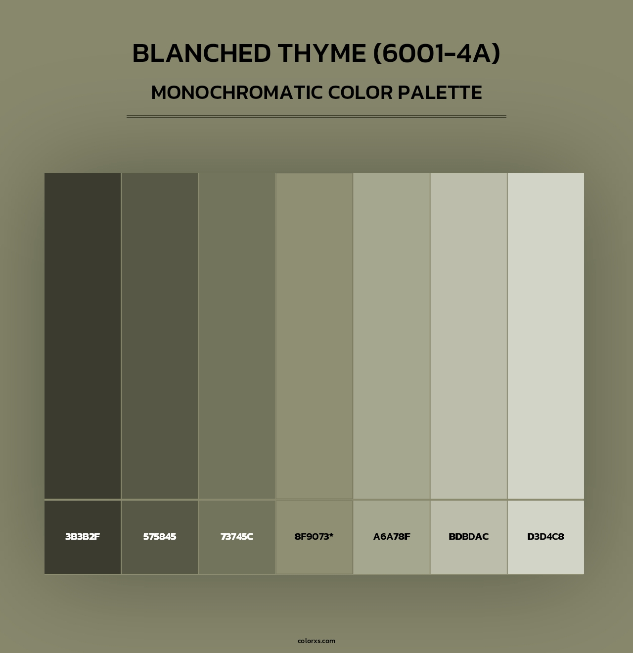 Blanched Thyme (6001-4A) - Monochromatic Color Palette