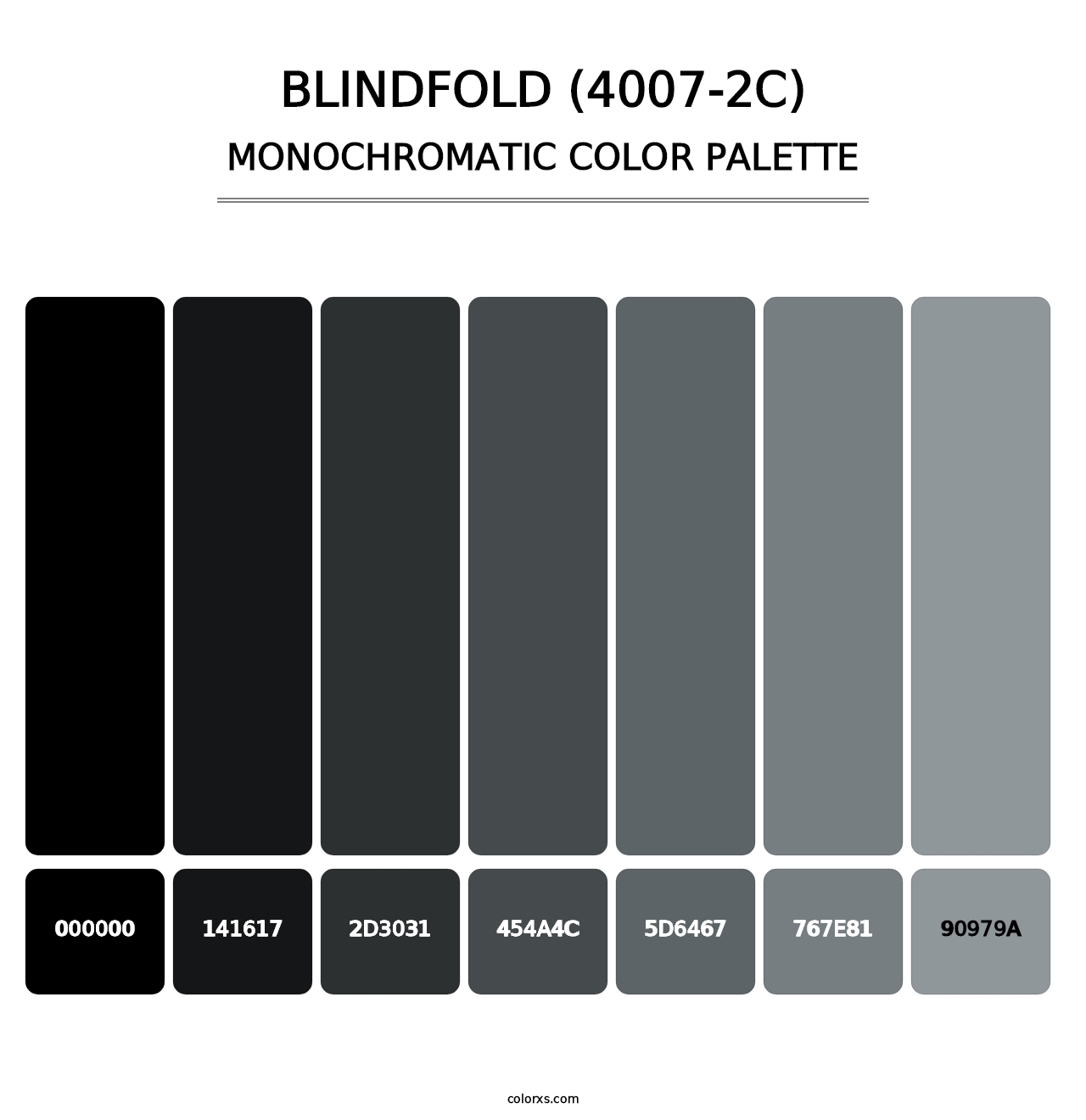 Blindfold (4007-2C) - Monochromatic Color Palette
