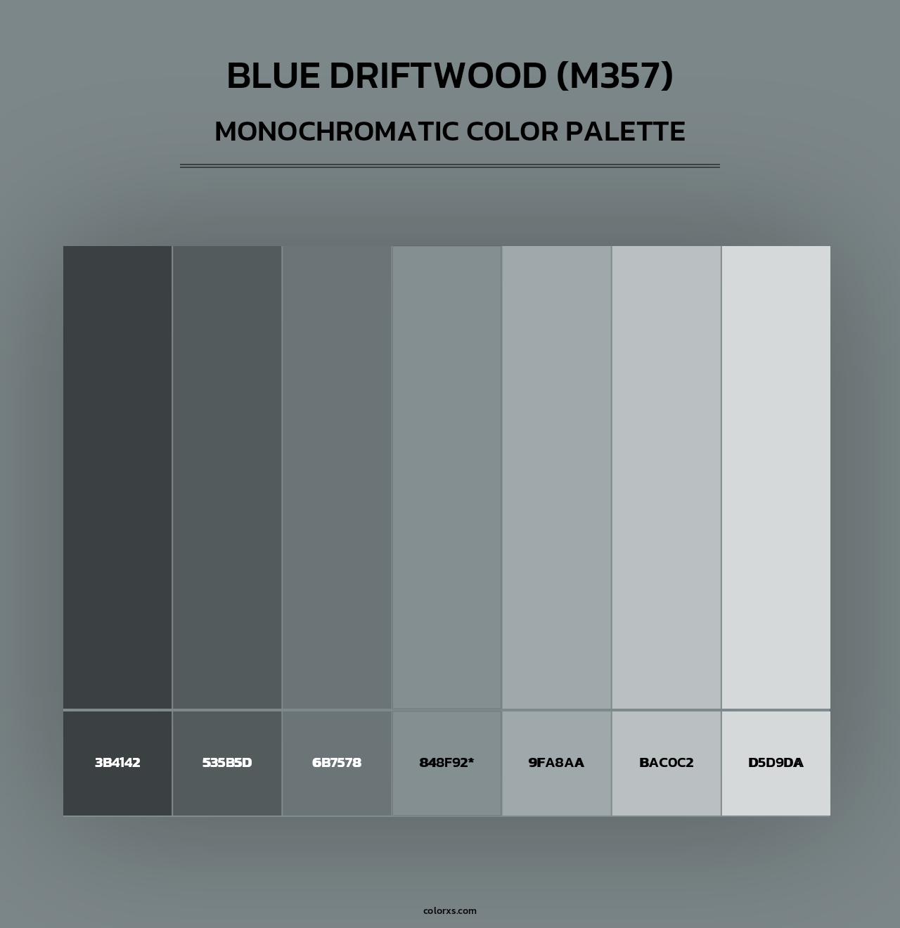 Blue Driftwood (M357) - Monochromatic Color Palette