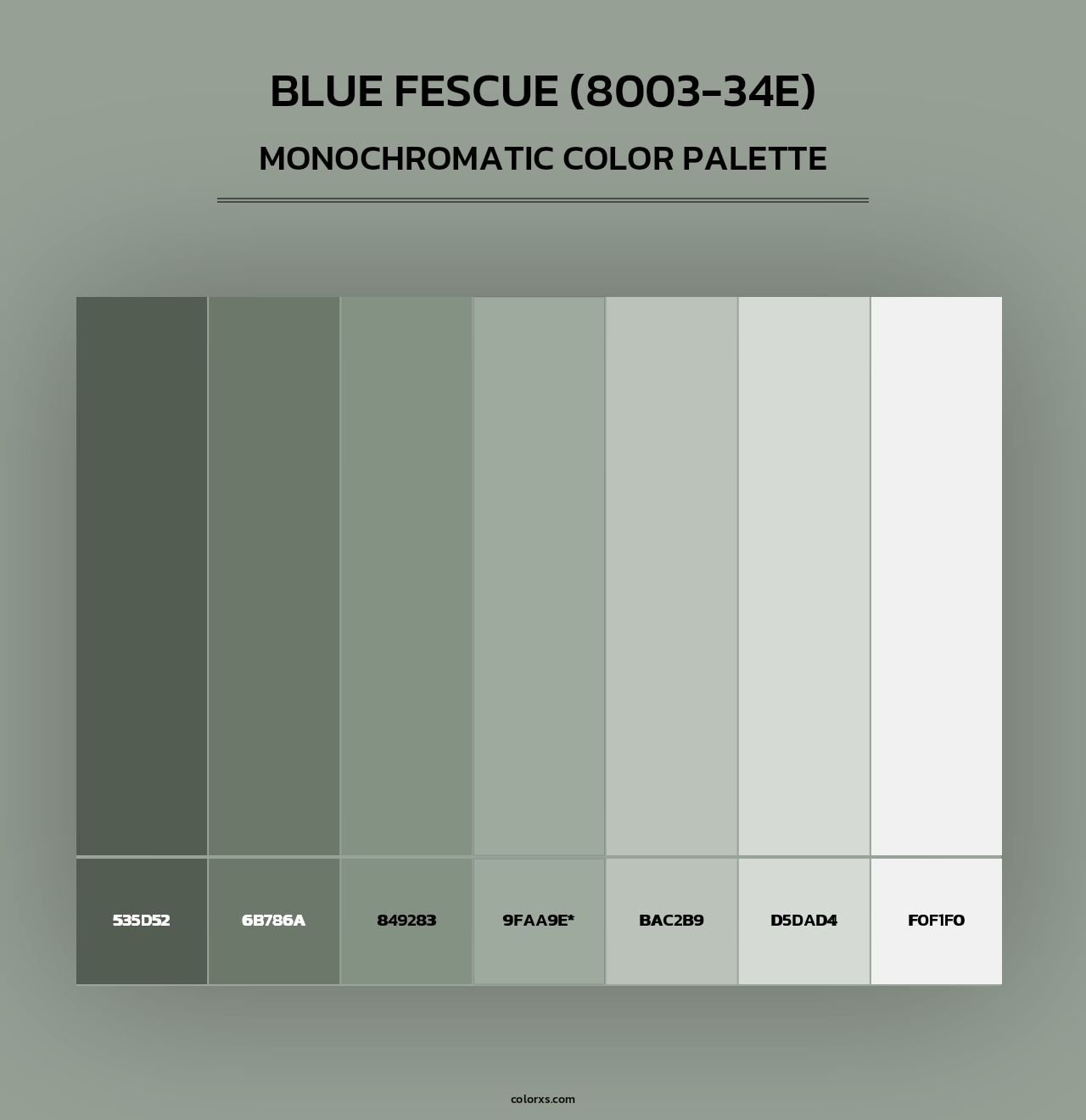 Blue Fescue (8003-34E) - Monochromatic Color Palette