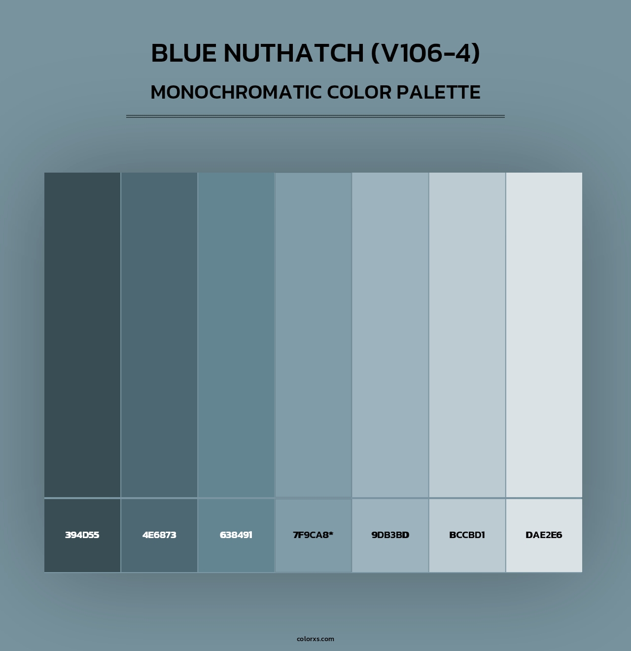 Blue Nuthatch (V106-4) - Monochromatic Color Palette