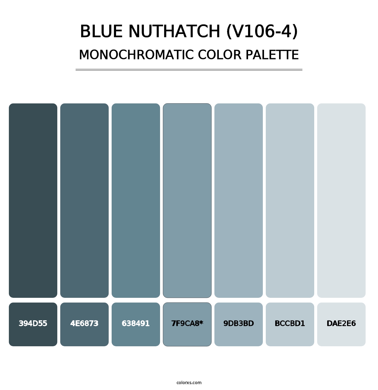 Blue Nuthatch (V106-4) - Monochromatic Color Palette