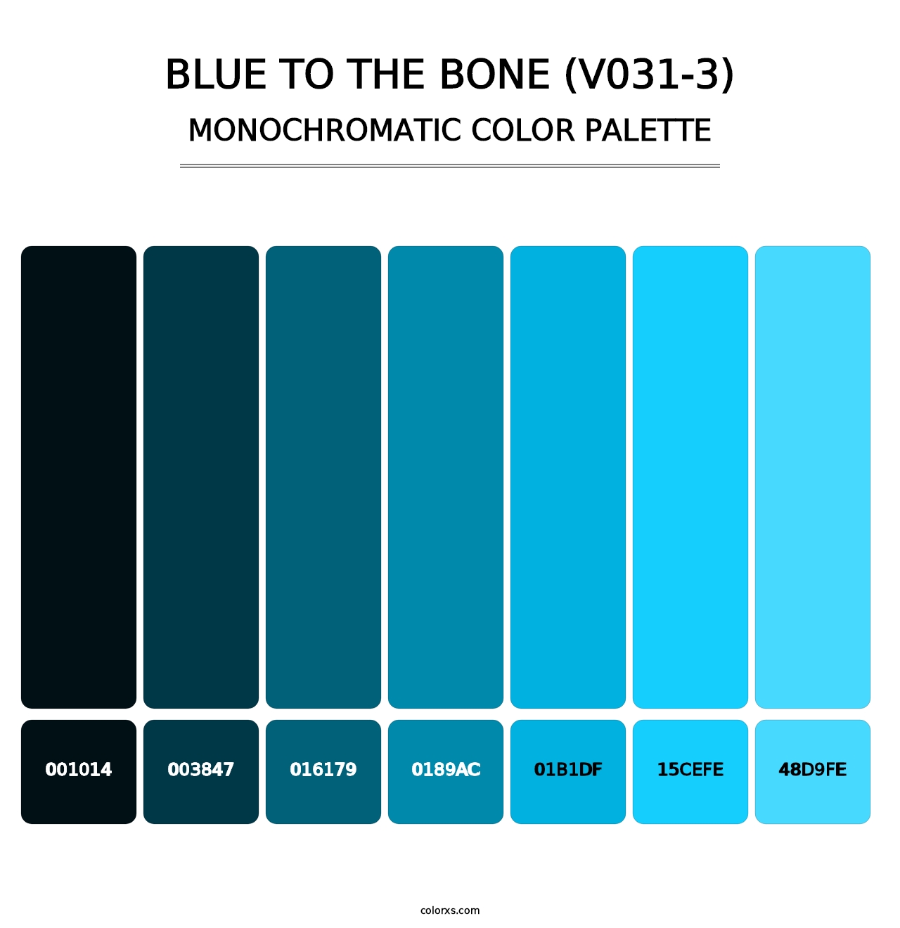 Blue to the Bone (V031-3) - Monochromatic Color Palette
