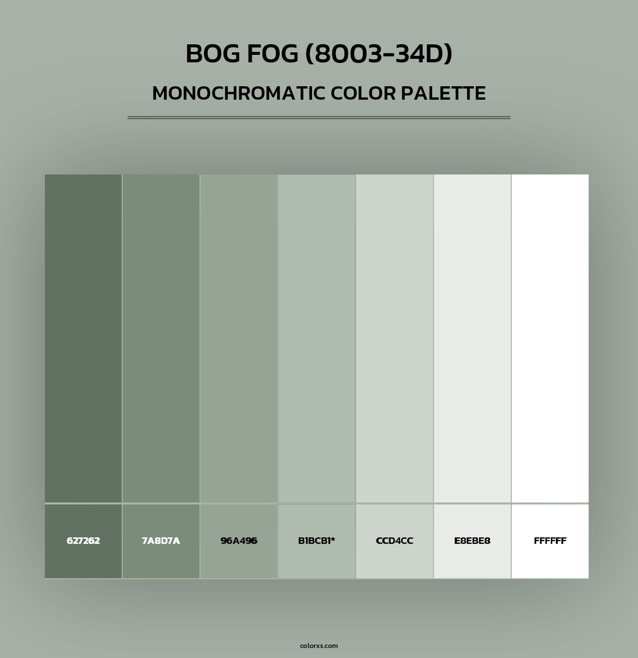 Bog Fog (8003-34D) - Monochromatic Color Palette