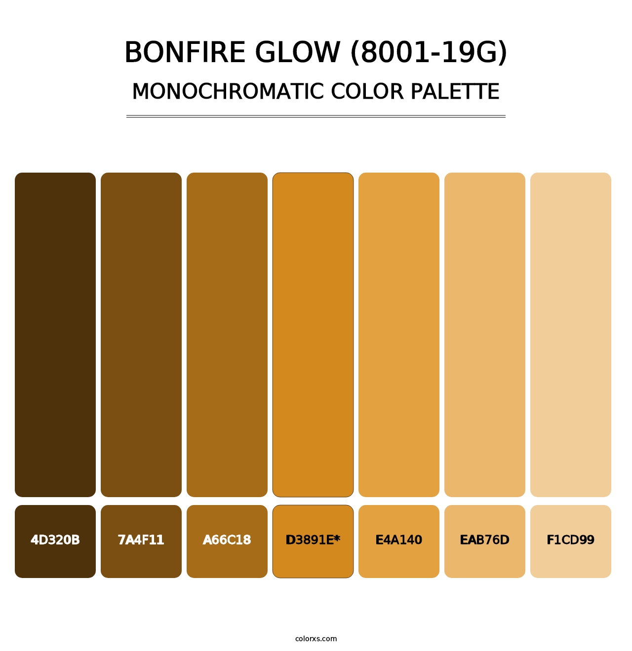 Bonfire Glow (8001-19G) - Monochromatic Color Palette
