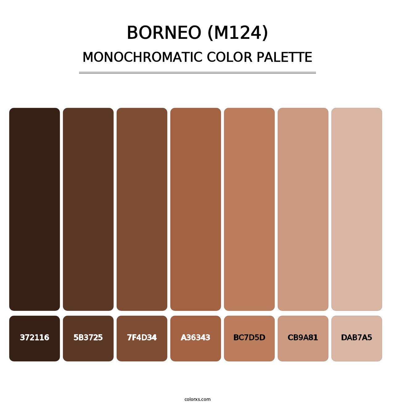 Borneo (M124) - Monochromatic Color Palette