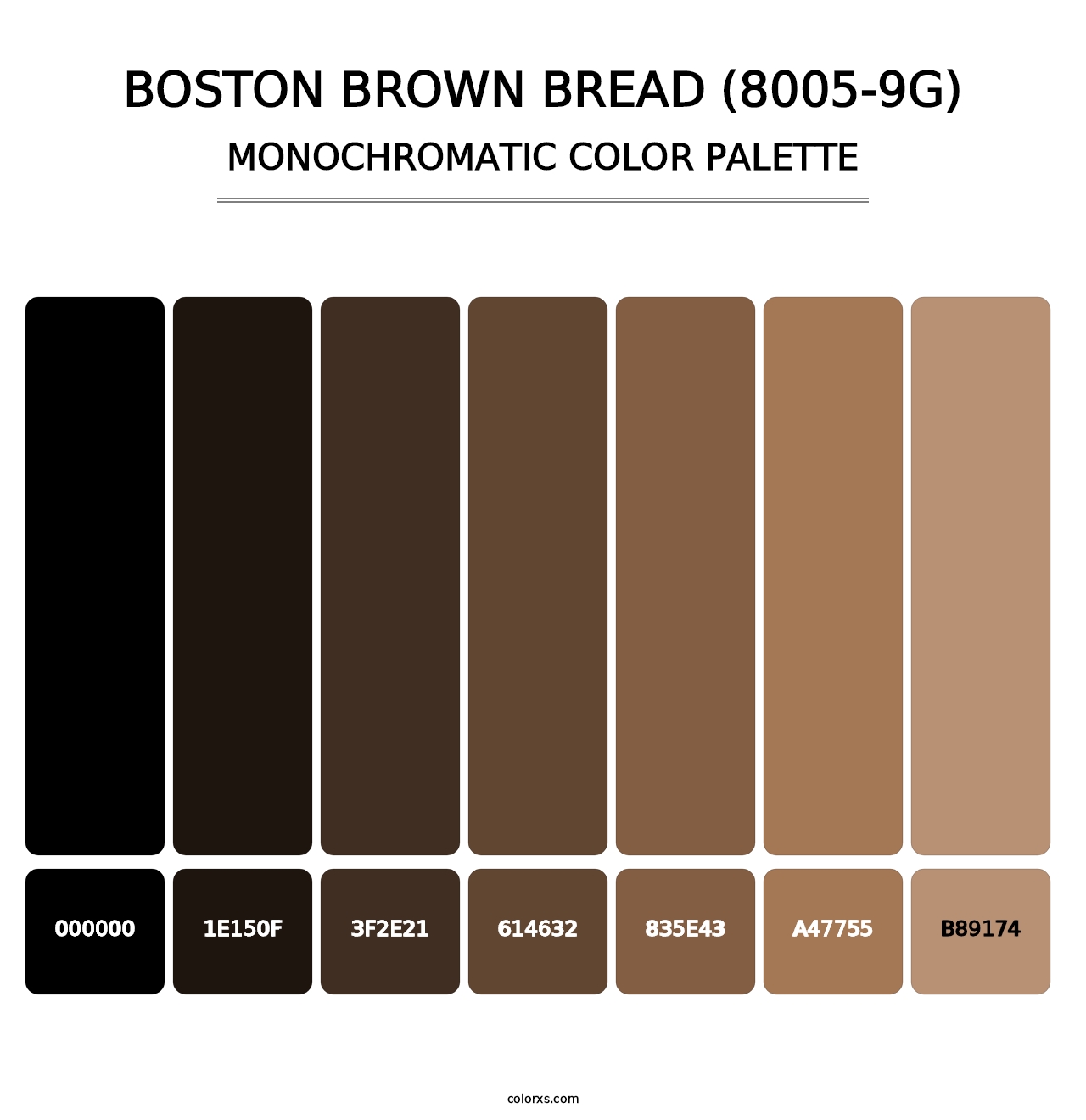 Boston Brown Bread (8005-9G) - Monochromatic Color Palette