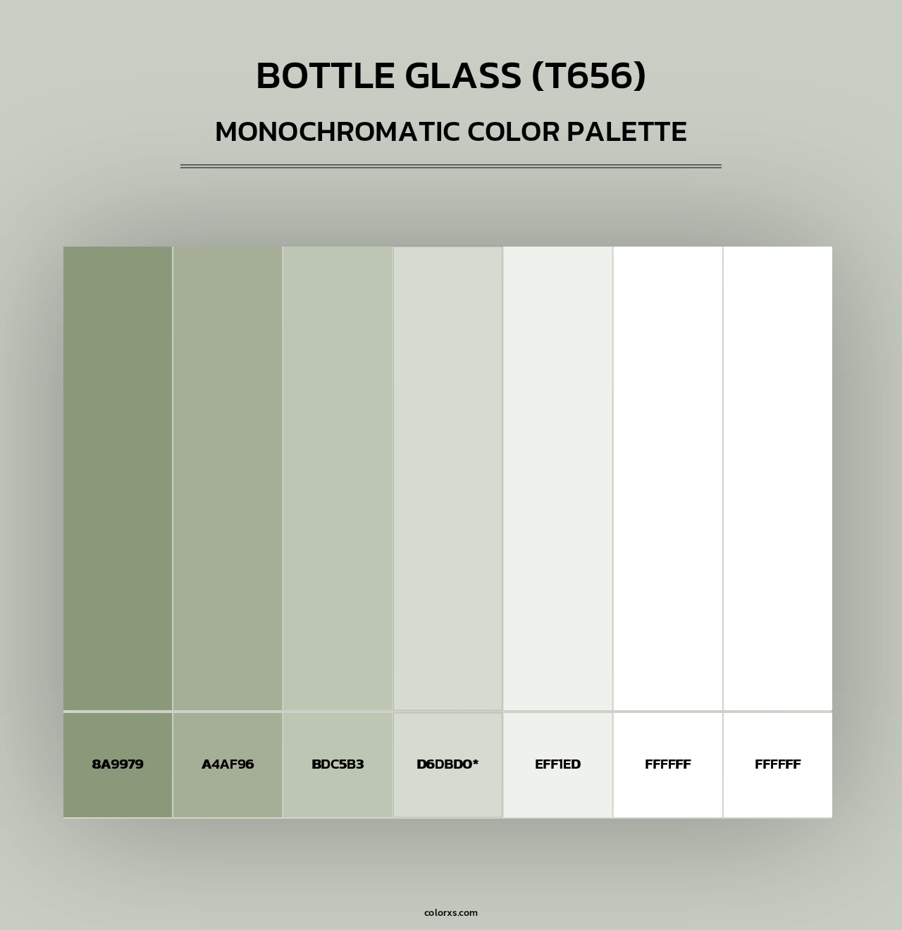 Bottle Glass (T656) - Monochromatic Color Palette