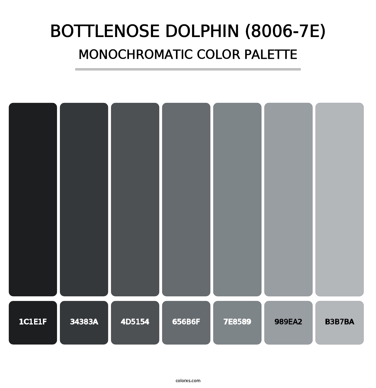 Bottlenose Dolphin (8006-7E) - Monochromatic Color Palette