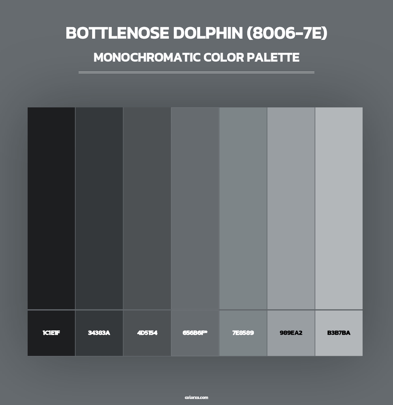 Bottlenose Dolphin (8006-7E) - Monochromatic Color Palette