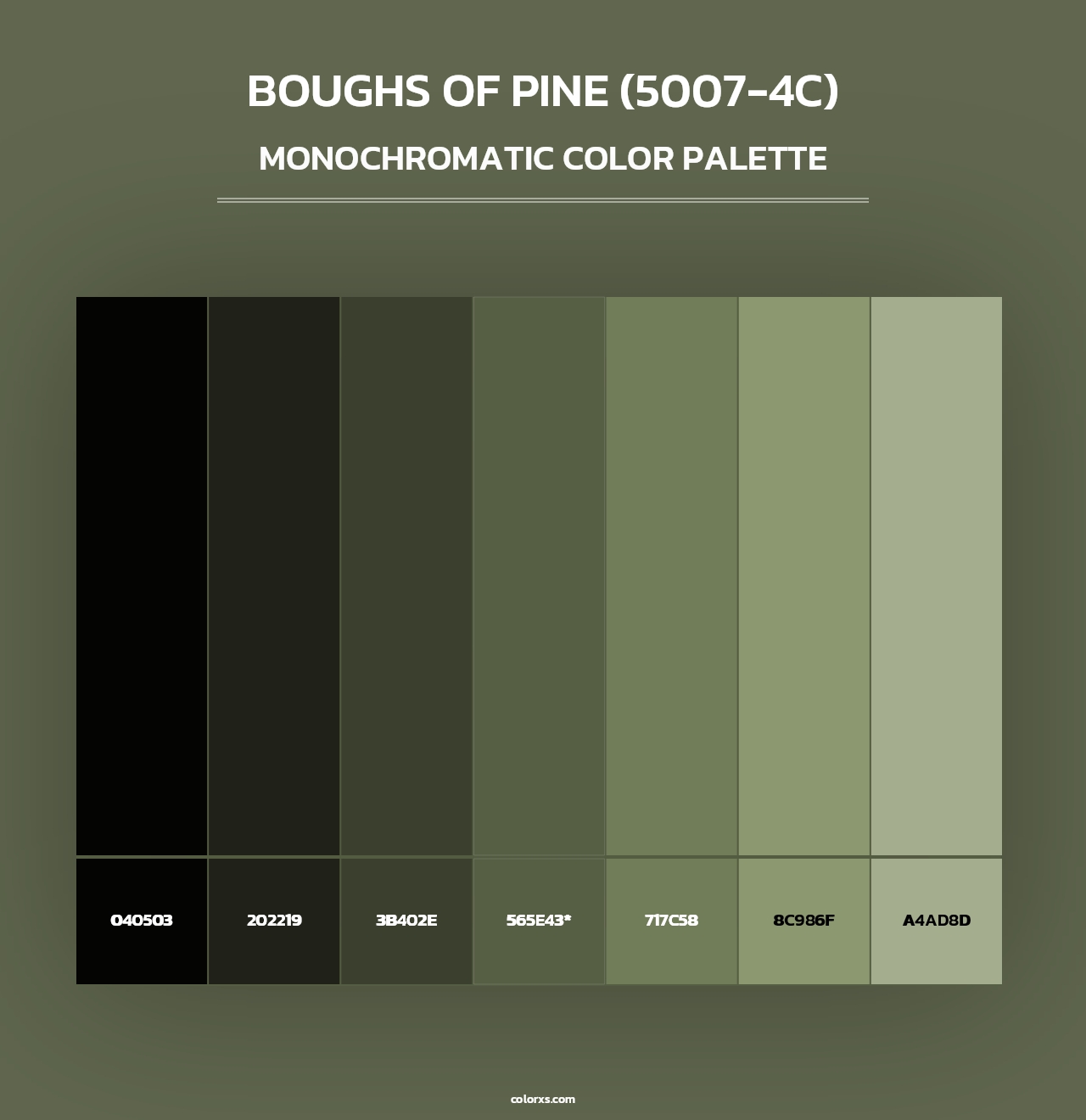 Boughs of Pine (5007-4C) - Monochromatic Color Palette