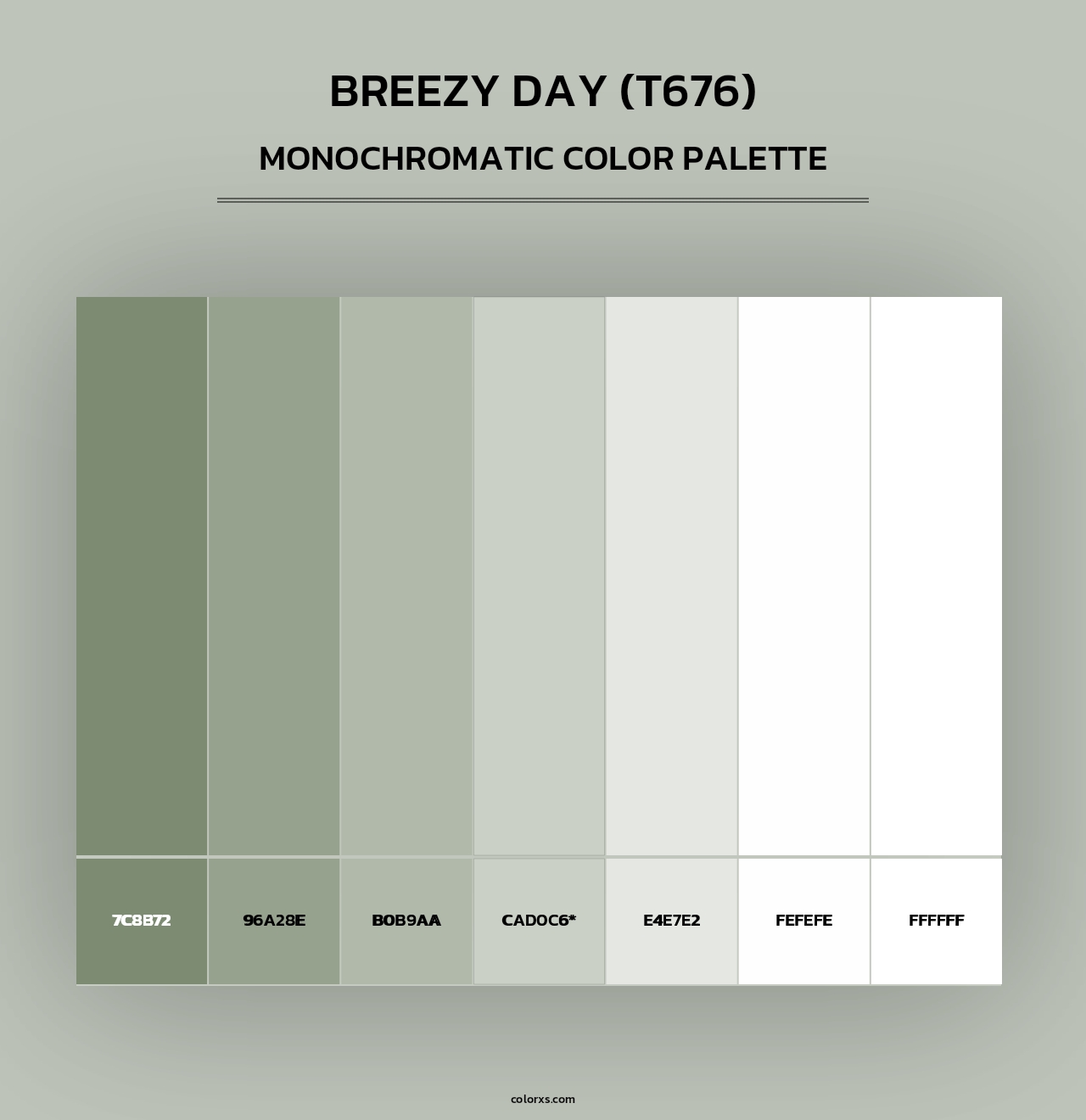 Breezy Day (T676) - Monochromatic Color Palette