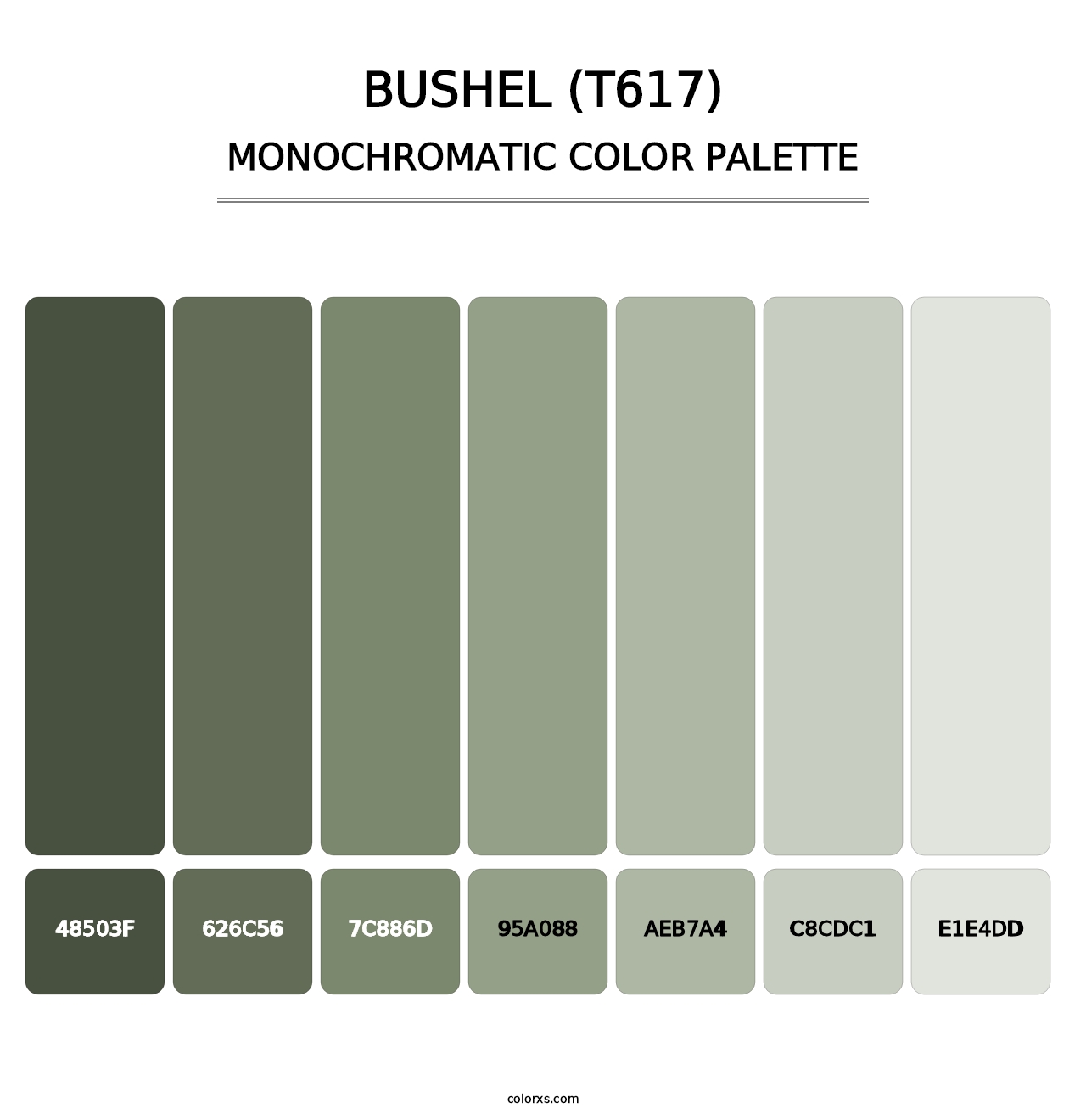 Bushel (T617) - Monochromatic Color Palette