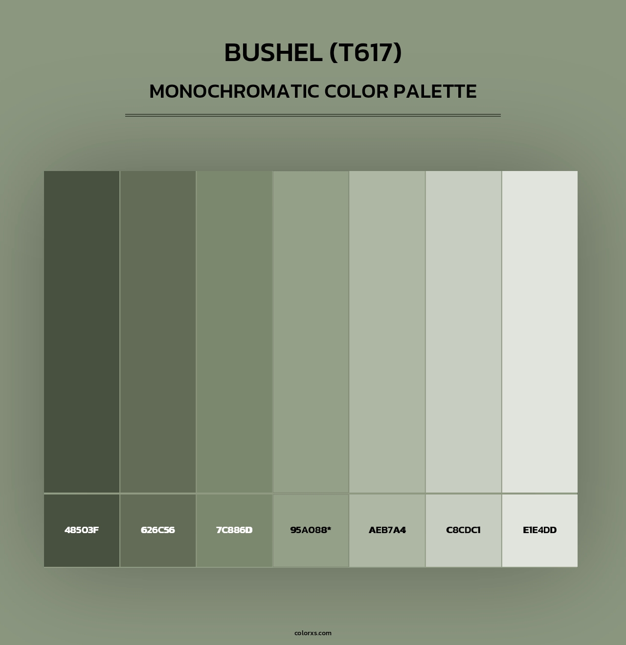 Bushel (T617) - Monochromatic Color Palette