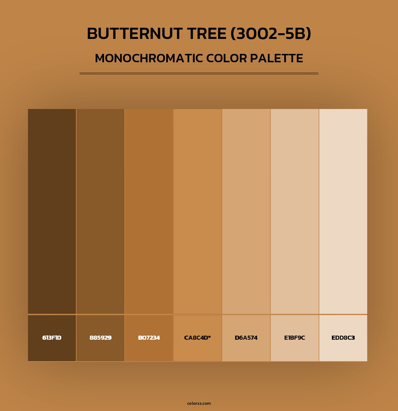 Butternut Tree (3002-5B) - Monochromatic Color Palette