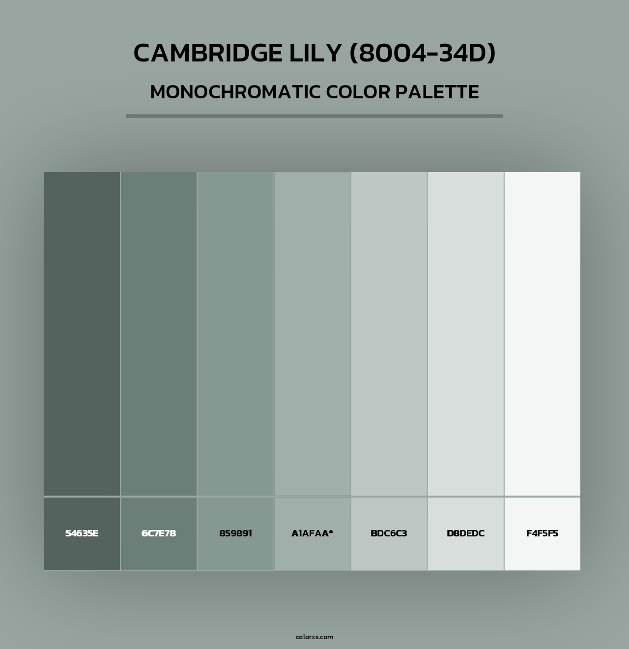 Cambridge Lily (8004-34D) - Monochromatic Color Palette