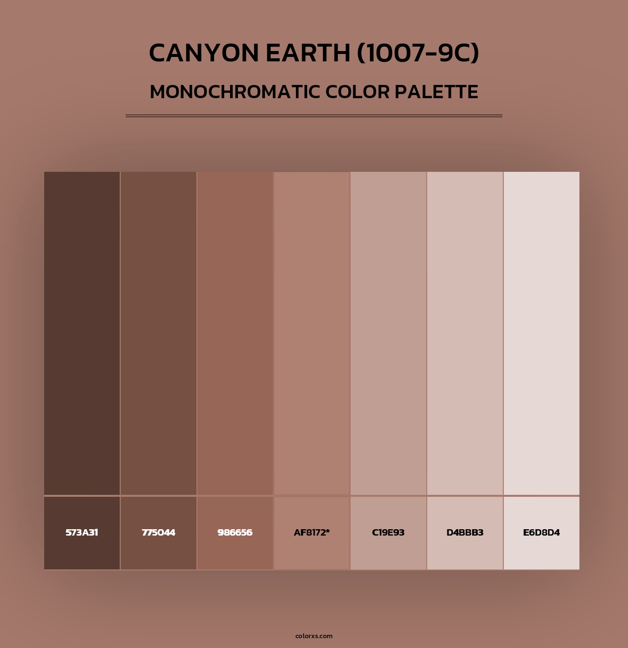 Canyon Earth (1007-9C) - Monochromatic Color Palette