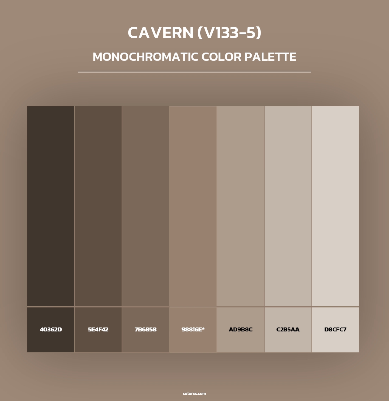 Cavern (V133-5) - Monochromatic Color Palette