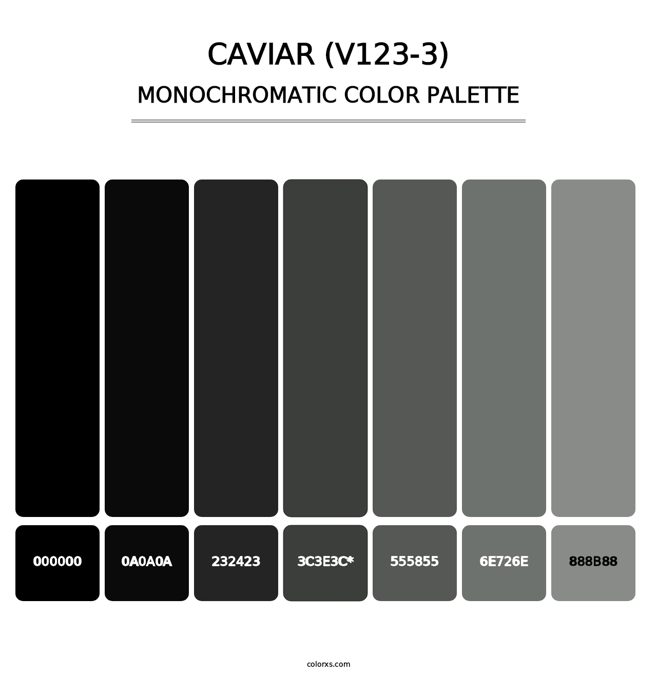 Caviar (V123-3) - Monochromatic Color Palette
